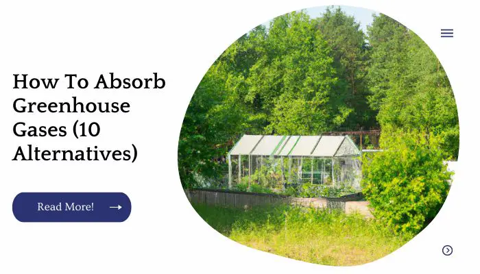 How To Absorb Greenhouse Gases (10 Alternatives)