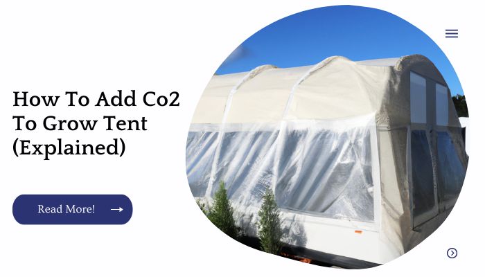 How To Add Co2 To Grow Tent (Explained)