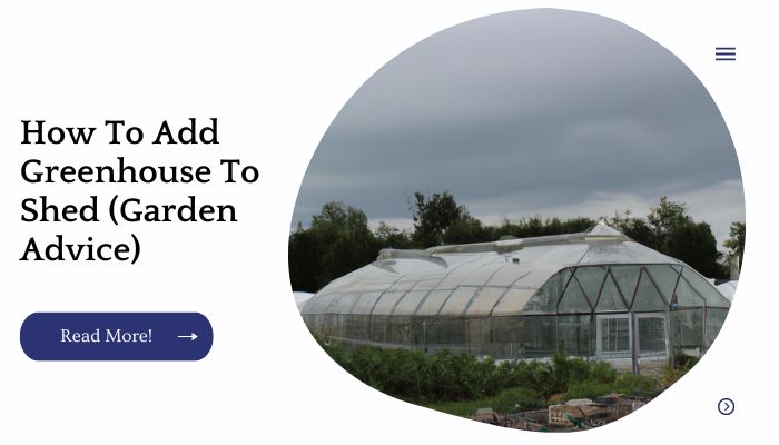How To Add Greenhouse To Shed (Garden Advice)