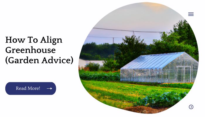How To Align Greenhouse (Garden Advice)