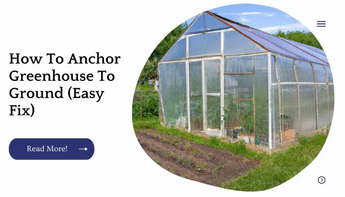 How To Anchor Greenhouse To Ground (Easy Fix)