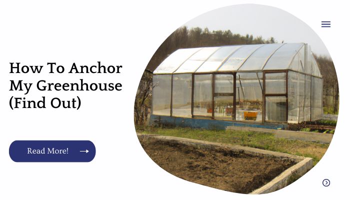 How To Anchor My Greenhouse (Find Out)