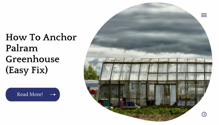 How To Anchor Palram Greenhouse (Easy Fix)