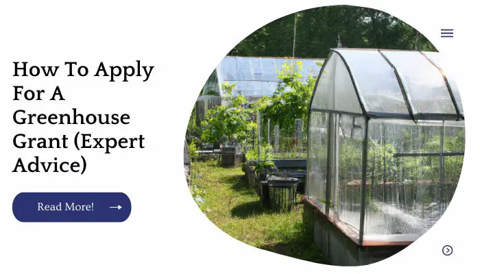 How To Apply For A Greenhouse Grant (Expert Advice)