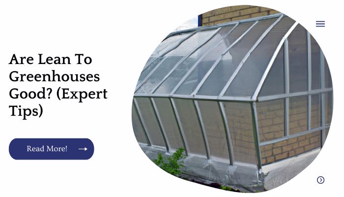 Are Lean To Greenhouses Good? (Expert Tips)