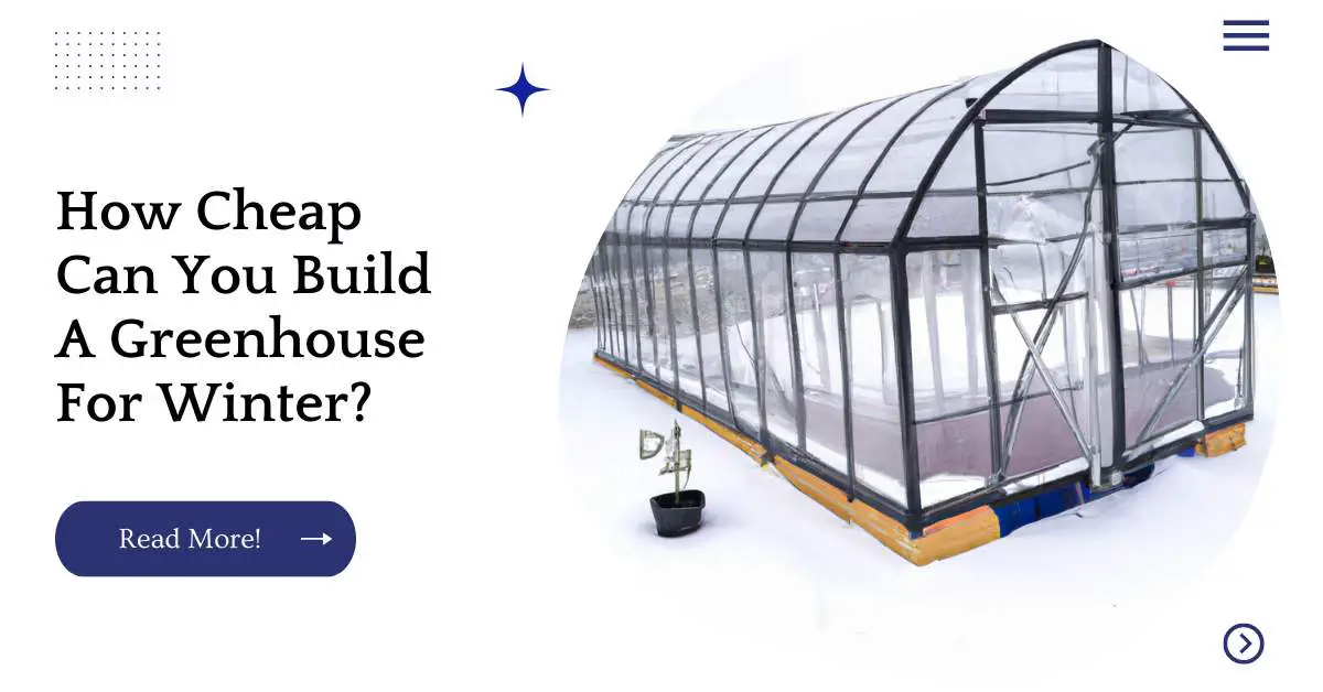 How Cheap Can You Build A Greenhouse For Winter?