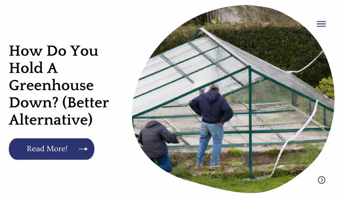 How Do You Hold A Greenhouse Down? (Better Alternative)