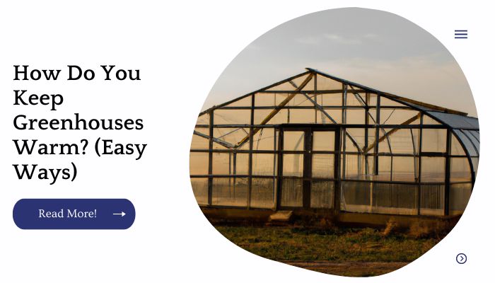 How Do You Keep Greenhouses Warm? (Easy Ways)
