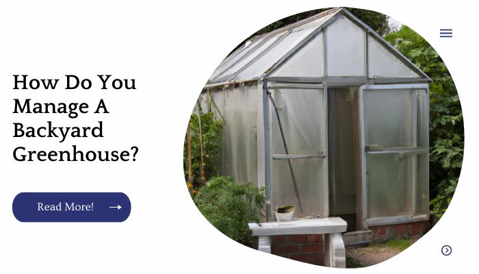How Do You Manage A Backyard Greenhouse?