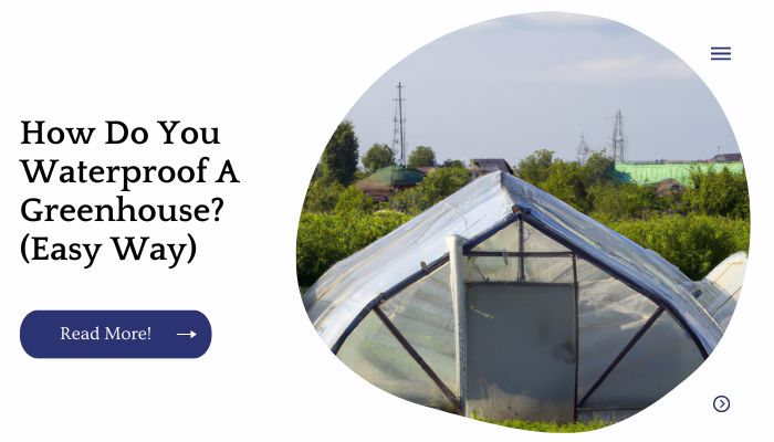 How Do You Waterproof A Greenhouse? (Easy Way)