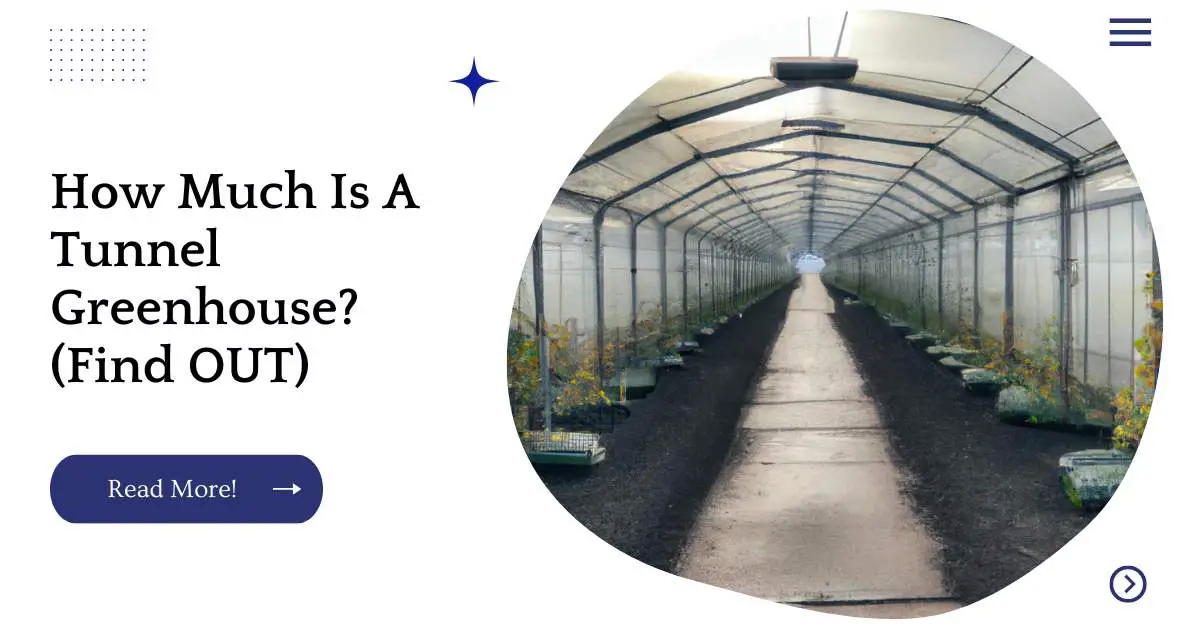 How Much Is A Tunnel Greenhouse? (Find OUT)