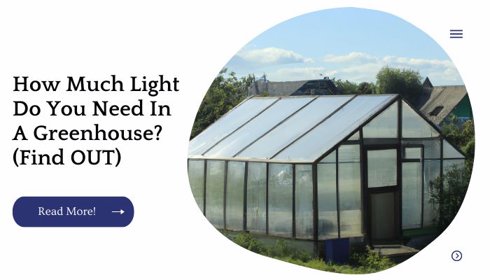 How Much Light Do You Need In A Greenhouse? (Find OUT)