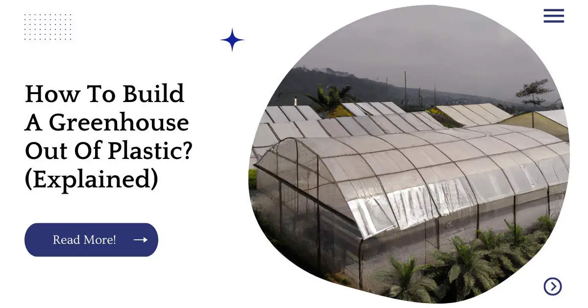 How To Build A Greenhouse Out Of Plastic? (Explained)