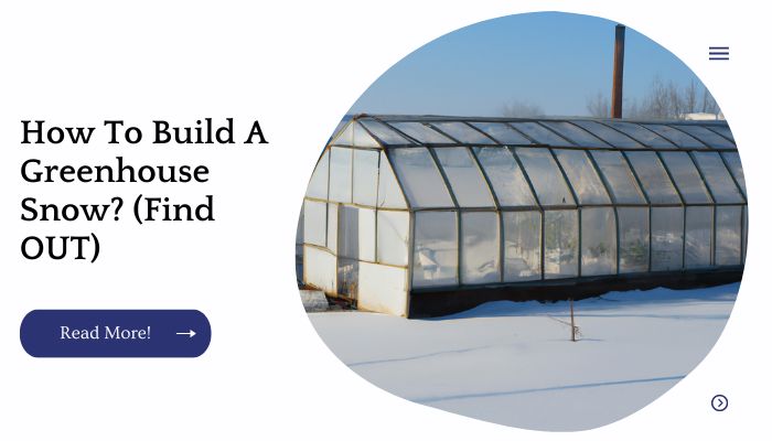 How To Build A Greenhouse Snow? (Find OUT)