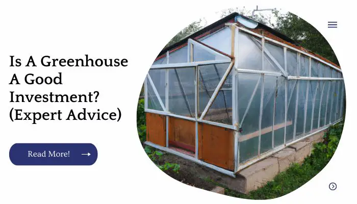 Is A Greenhouse A Good Investment? (Expert Advice)
