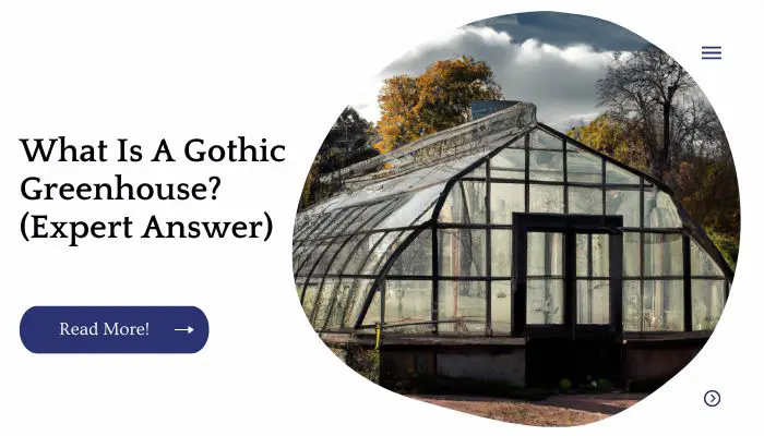 What Is A Gothic Greenhouse? (Expert Answer)