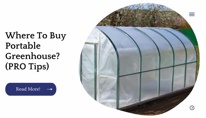 Where To Buy Portable Greenhouse? (PRO Tips)