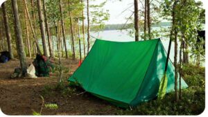 How to Transform a Tarp into a Perfect Canopy Cover