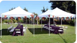 Pop-Up Canopy Buying Guide: Top Features to Prioritize
